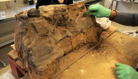 Dégagement en laboratoire des restes de bois d'une maison fouillée à Bernolsheim (© Archéologie Alsace)